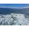 Meer / Ocean