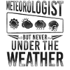 Meteorologist Weather Forecast