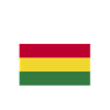 Bolivia Flag Saying
