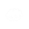 Meteorologist Weather Forecast