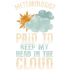 Meteorologist Weather Forecast