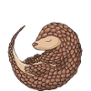 Roll Me Pangolin