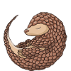 I'm Not A Delicacy Pangolin
