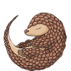 Matal ? Aucun problème! Pangolin