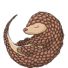 We're Not A Delicacy Pangolin