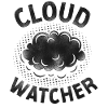 Meteorologist Weather Forecast