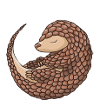 I'm Not A Cure Pangolin