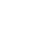 Doughnut