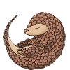 Ma langue t’aime Pangolin