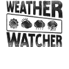 Meteorologist Weather Forecast