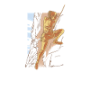 Klettern