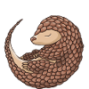 Ciment? Aucun problème! Pangolin