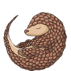 Mes écailles sont chargées Pangolin