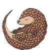 Attention à ma langue Pangolin
