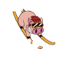 Cochon