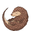 Pengguling Pangolin