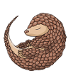 Only Scaly Mammal Pangolin