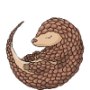 I Love Climbing Pangolin