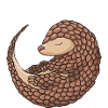 Nous aimons escalader pangolin