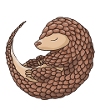 Protéger le pangolin pangolin