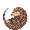 Let's Roll Pangolin