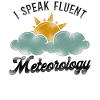 Meteorologist Weather Forecast