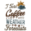 Meteorologist Weather Forecast