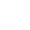 BAUM SCHUBSER