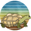 Tortoise