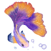 Fish. Elegant under water