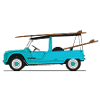 the french surfer 2