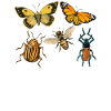 Entomologist Entomology Insects Profession Team