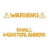 Small Münsterländer