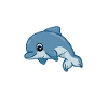 Dolphin Whisperer Delfin Flüsterer Beluga