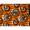 ORANGE FOSSIL