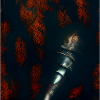 Chevalier noir