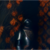 Chevalier noir