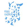 pigeons,birds,flocks of birds,free uyghur,uighurs
