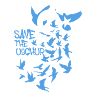 pigeons,birds,flocks of birds,free uyghur,uighurs