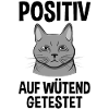 Wütende Katze Lustiger Spruch Geschenk