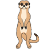 Meerkat Lover Gift Funny Animals