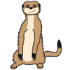 Meerkat Lover Gift Funny Animals