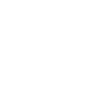 T shirt capture the flag