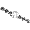 Basketball Lovers Basketball Basketball Club