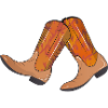 extravagante Westernstiefel mit Flammen Muster
