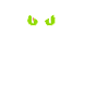 Wütende Katze