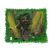 Forest Guards