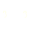 Cat and beer