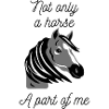 Not Only a Horse