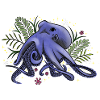 Octopus - Under the sea